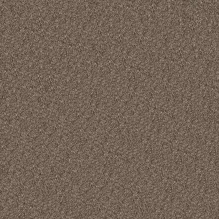 SHAW Absulutely It - advancedflooring