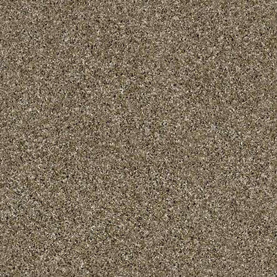 SHAW Absulutely It - advancedflooring