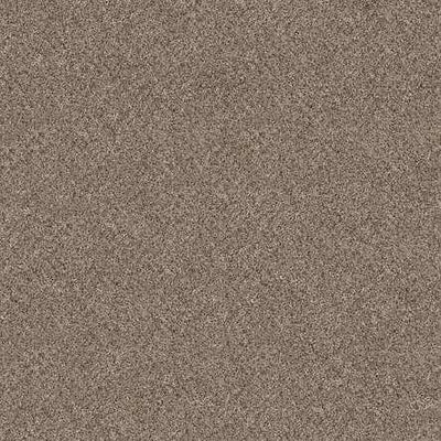 SHAW Absulutely It - advancedflooring