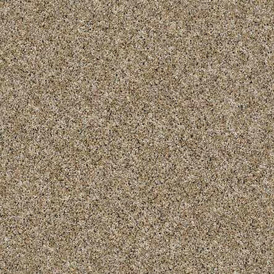 SHAW Absulutely It - advancedflooring