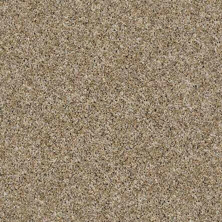 SHAW Absulutely It - advancedflooring