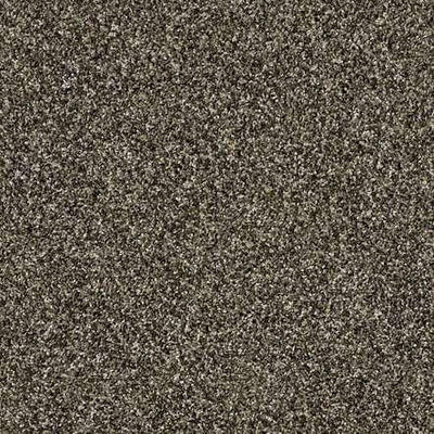SHAW Absulutely It - advancedflooring
