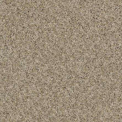SHAW Absulutely It - advancedflooring