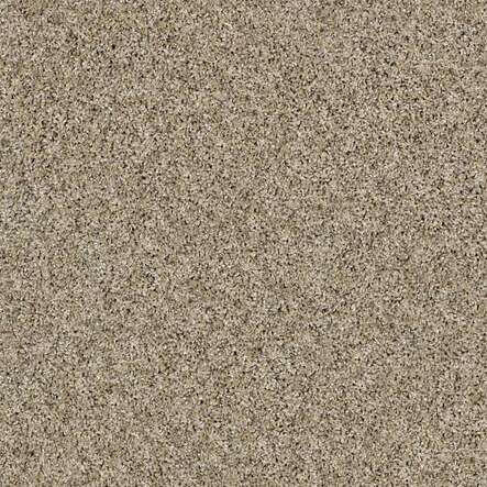 SHAW Absulutely It - advancedflooring