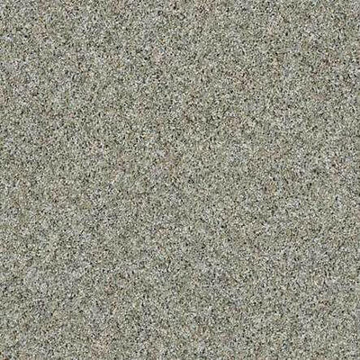 SHAW Absulutely It - advancedflooring