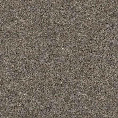 SHAW Absulutely It - advancedflooring