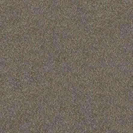 SHAW Absulutely It - advancedflooring