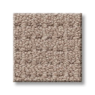 Shaw Carpet 5E441 FAINT INTENT - advancedflooring