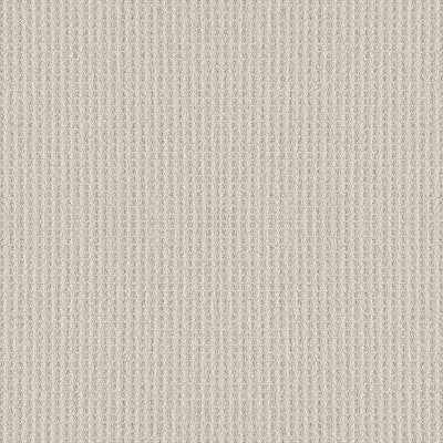 Shaw Carpet 5E449 FRAMED VIEW - advancedflooring