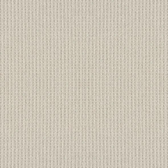 Shaw Carpet 5E449 FRAMED VIEW - advancedflooring