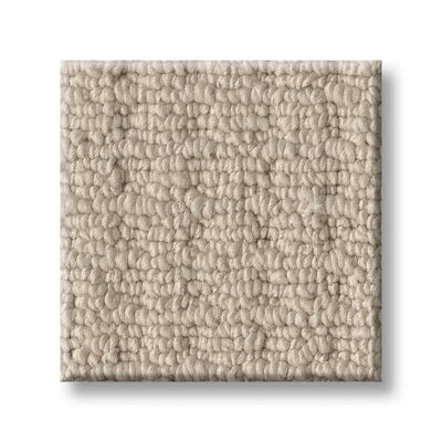 Shaw Carpet 5E449 FRAMED VIEW - advancedflooring