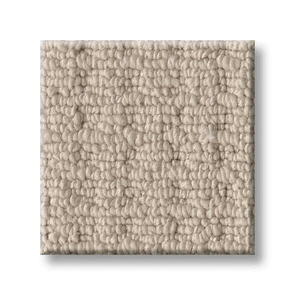 Shaw Carpet 5E449 FRAMED VIEW - advancedflooring