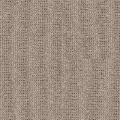 Shaw Carpet 5E449 FRAMED VIEW - advancedflooring