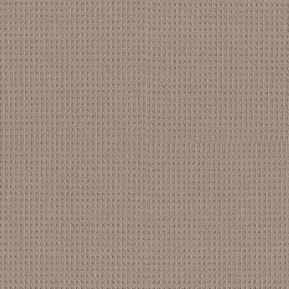 Shaw Carpet 5E449 FRAMED VIEW - advancedflooring