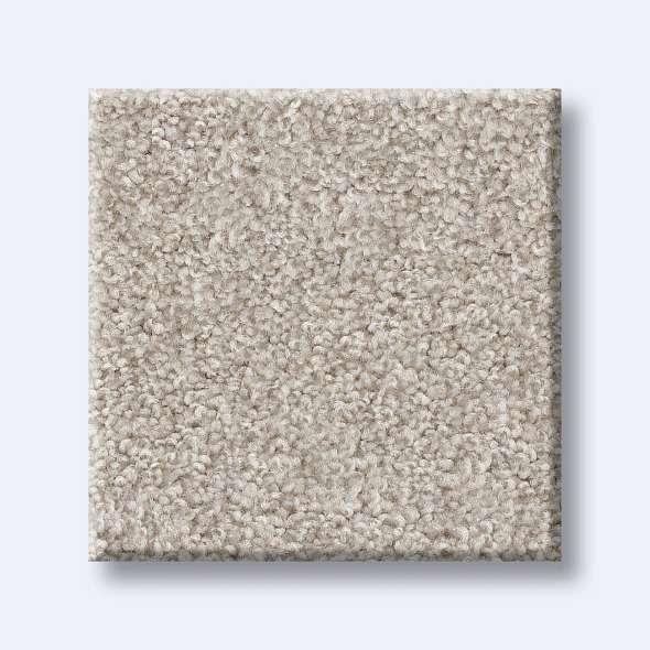 Shaw Carpet 5E451 HARMONIOUS III - advancedflooring
