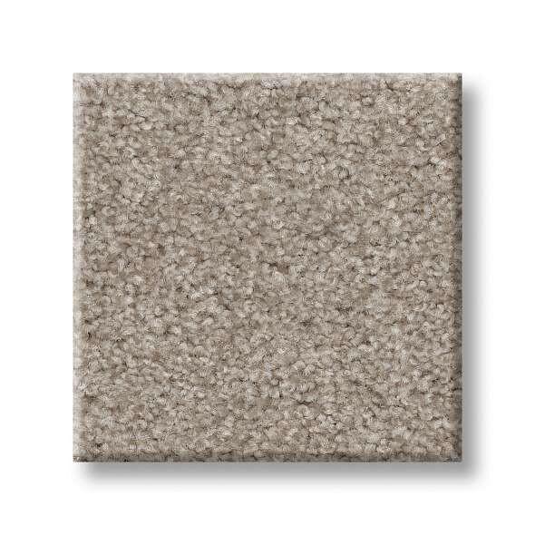 Shaw Carpet 5E451 HARMONIOUS III - advancedflooring