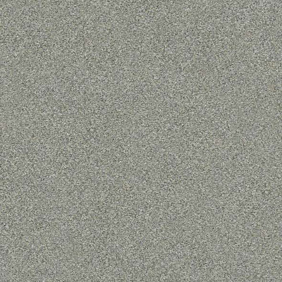 Shaw carpet 5E488 Boundless IV - advancedflooring
