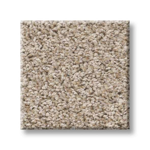 Shaw Carpet E9346 WORK THE COLOR – ADVANCED FLOORING