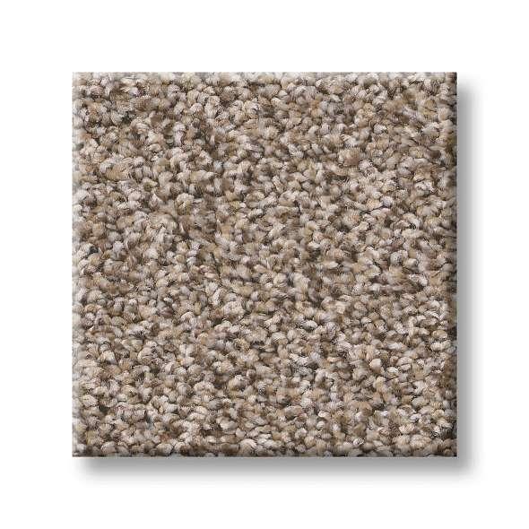 Shaw Carpet E9346 WORK THE COLOR - advancedflooring