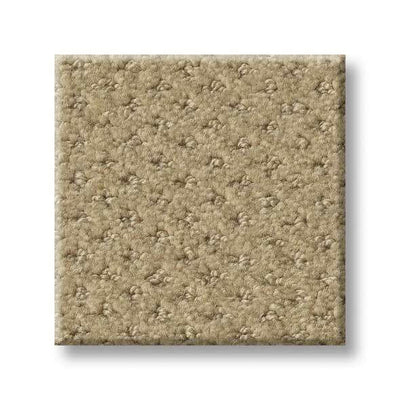Shaw Carpet E9721 INFALLIBLE INSTINCT - advancedflooring