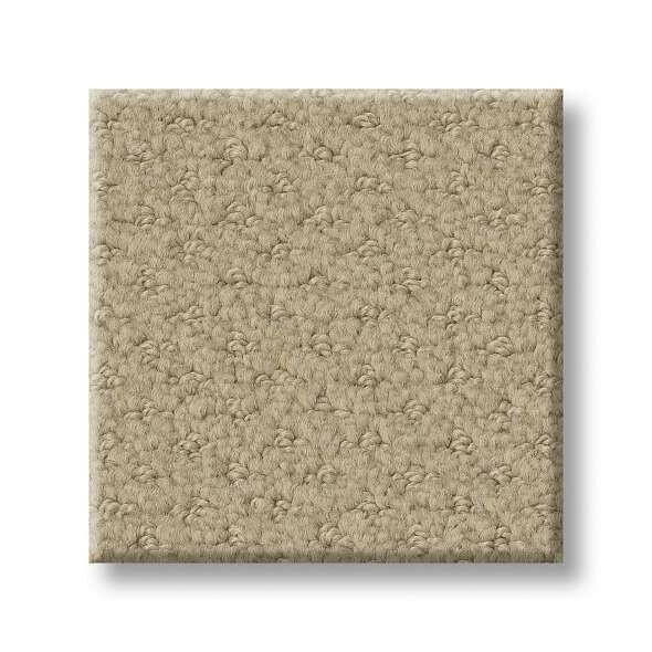 Shaw Carpet E9721 INFALLIBLE INSTINCT - advancedflooring