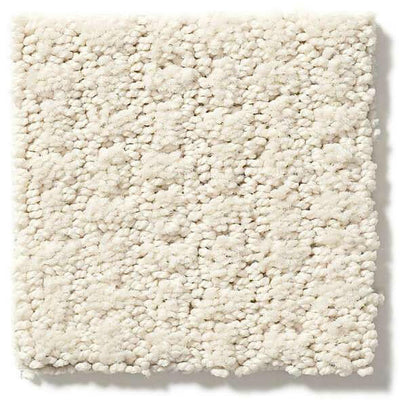 Shaw Carpet E9722 COMPLETE CONTROL - advancedflooring