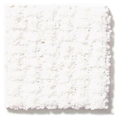 Shaw Carpet E9722 COMPLETE CONTROL - advancedflooring