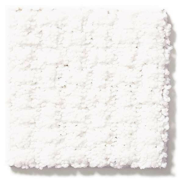 Shaw Carpet E9722 COMPLETE CONTROL - advancedflooring