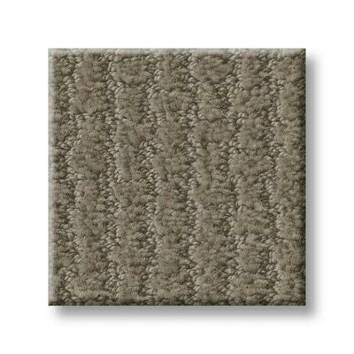 Shaw Carpet E9722 COMPLETE CONTROL - advancedflooring