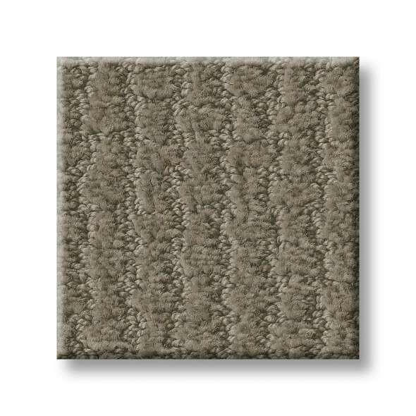 Shaw Carpet E9722 COMPLETE CONTROL - advancedflooring