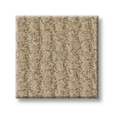 Shaw Carpet E9722 COMPLETE CONTROL - advancedflooring