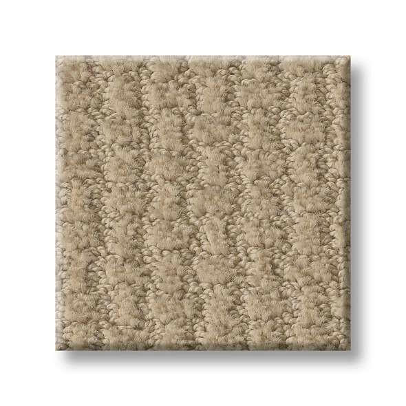 Shaw Carpet E9722 COMPLETE CONTROL - advancedflooring