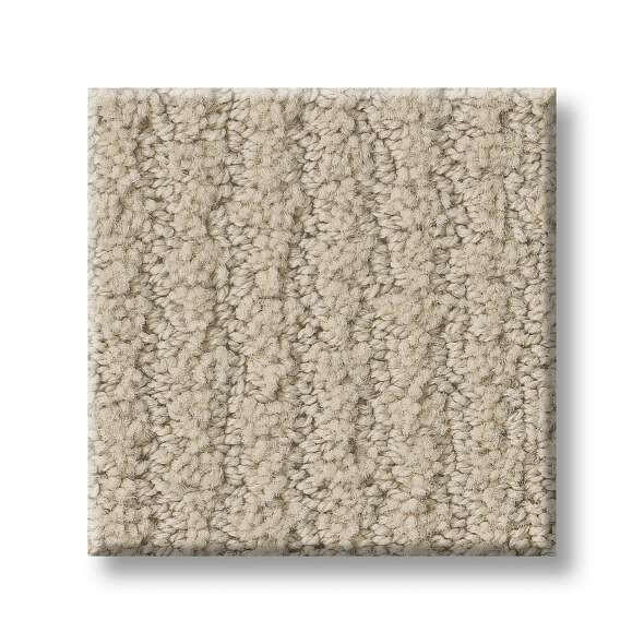 Shaw Carpet E9722 COMPLETE CONTROL - advancedflooring