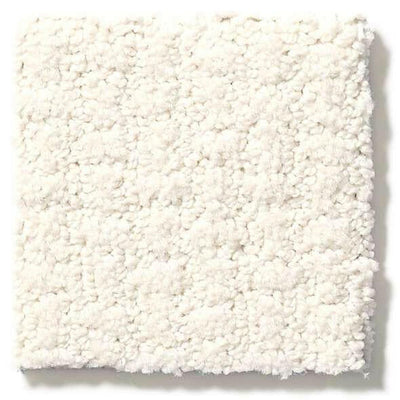 Shaw Carpet E9722 COMPLETE CONTROL - advancedflooring