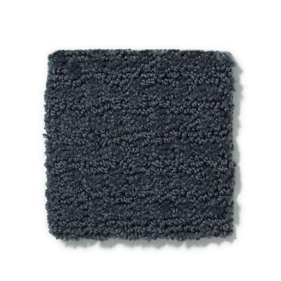Shaw Carpet E9722 COMPLETE CONTROL - advancedflooring