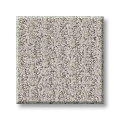 Shaw Carpet E9722 COMPLETE CONTROL - advancedflooring