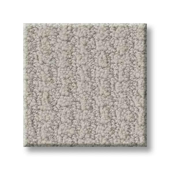 Shaw Carpet E9722 COMPLETE CONTROL - advancedflooring