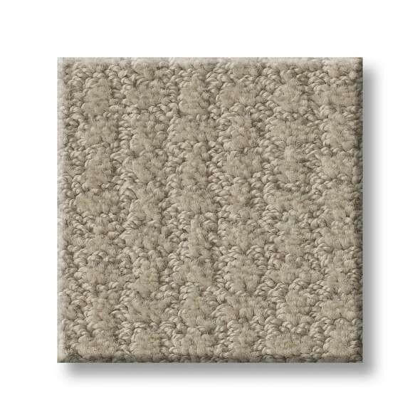 Shaw Carpet E9722 COMPLETE CONTROL - advancedflooring