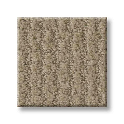 Shaw Carpet E9722 COMPLETE CONTROL - advancedflooring
