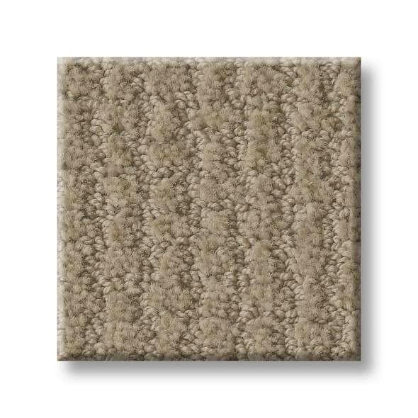 Shaw Carpet E9722 COMPLETE CONTROL - advancedflooring