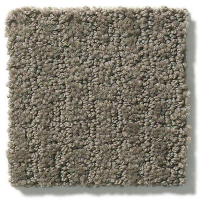 Shaw Carpet E9722 COMPLETE CONTROL - advancedflooring