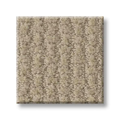 Shaw Carpet E9722 COMPLETE CONTROL - advancedflooring