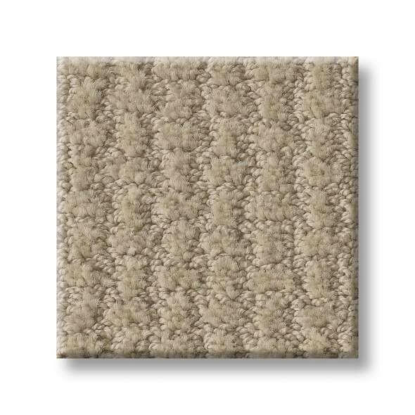 Shaw Carpet E9722 COMPLETE CONTROL - advancedflooring