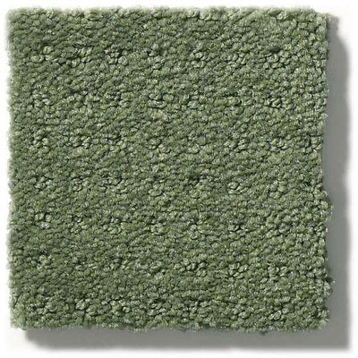 Shaw Carpet E9724 ALLURING DISPOSITION - advancedflooring