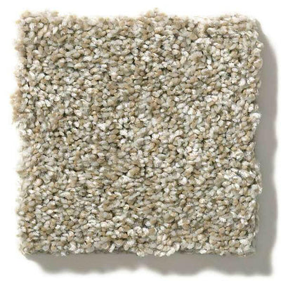 Shaw Carpet E9871 ALL OVER IT II - advancedflooring