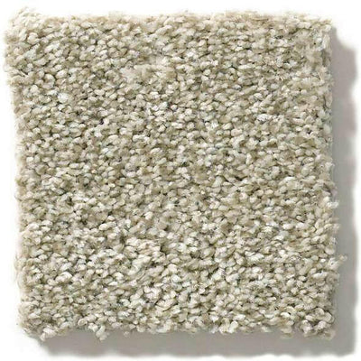 Shaw Carpet E9871 ALL OVER IT II - advancedflooring