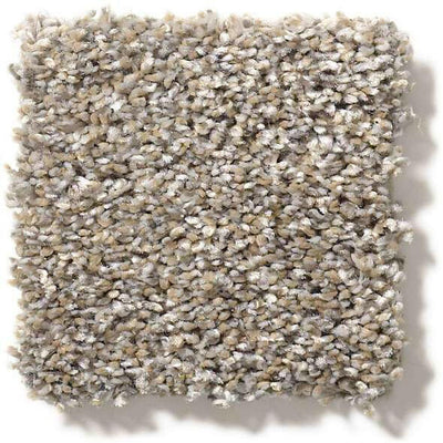 Shaw Carpet E9871 ALL OVER IT II - advancedflooring