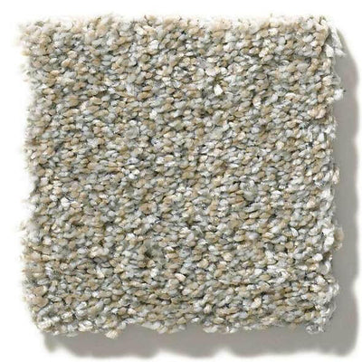 Shaw Carpet E9871 ALL OVER IT II - advancedflooring