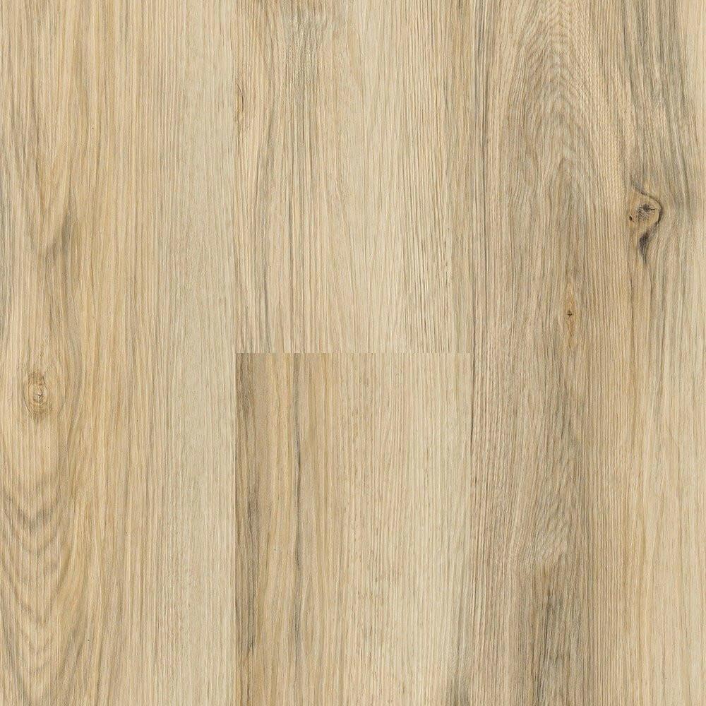 Vanilla Hickory 450 503 - Nextfloor Vinyl 4.5mm Glue Down Donnington - advancedflooring